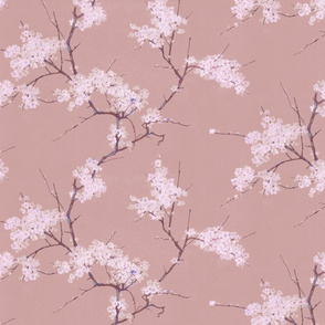 Cherry Blossoms - Rose