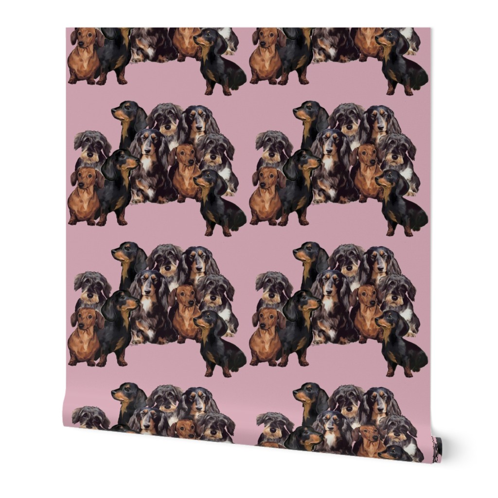 Dachshunds fabric