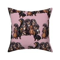 Dachshunds fabric