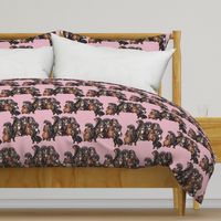 Dachshunds fabric