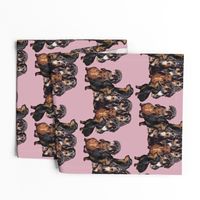 Dachshunds fabric