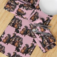 Dachshunds fabric