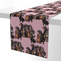 Dachshunds fabric