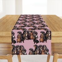 Dachshunds fabric