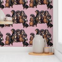 Dachshunds fabric