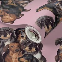 Dachshunds fabric