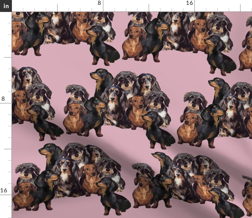 Dachshunds fabric