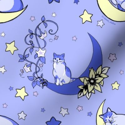 Moondancer Cat