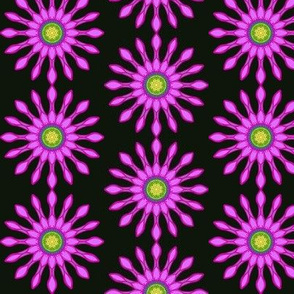 High Contrast Passion Floral