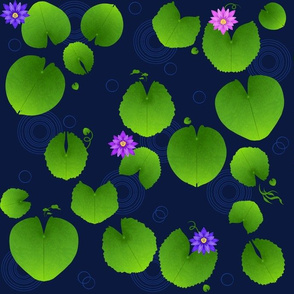 Water Lilies in a Pond