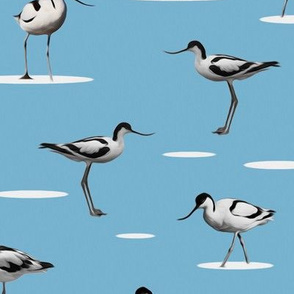 avocet - light blue - painting effect