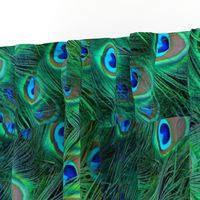 Peacock feathers - sideways to fit fat quarter (edit for Cherriob )