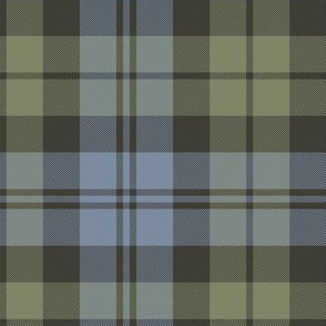 Campbell 1739 tartan, 12" faded