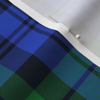 Campbell 1739 tartan, 12" bright