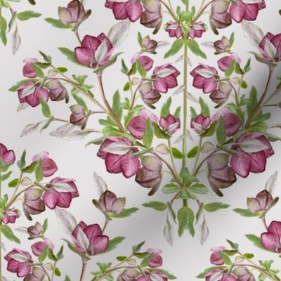 Pink Victorian Floral Print, Vintage Cottagecore Print, Purple Hellebore Flower Green Leaves