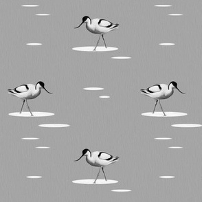 bird in puddle - painting effect - gray