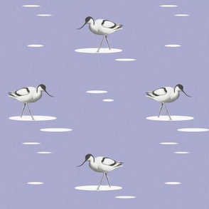 bird in puddle - painting effect - lilac