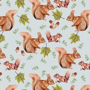 Hand Painted Red Squirrels With Leaves And Acorns Light Blue