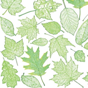 leaf etchings in green