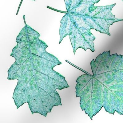 leaf etchings in teal