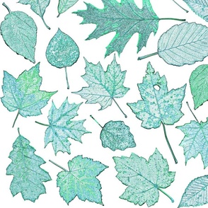leaf etchings in teal