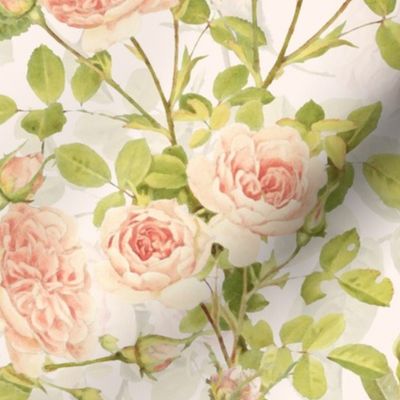 Nostalgic Light Peach Roses, Antique Flowers Bouquets,vintage home decor,  English Roses Fabric light blush cream