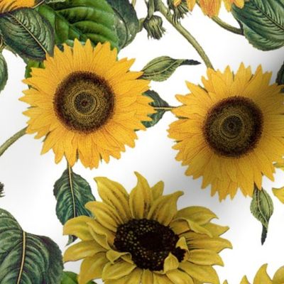 Vintage Nostalgic Sunflowers Autumn Garden Large