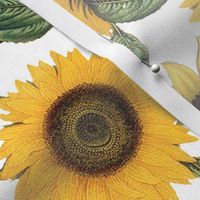 Vintage Nostalgic Sunflowers Autumn Garden Large