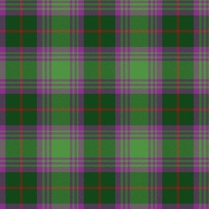 Crantock tartan - 3" modern bright