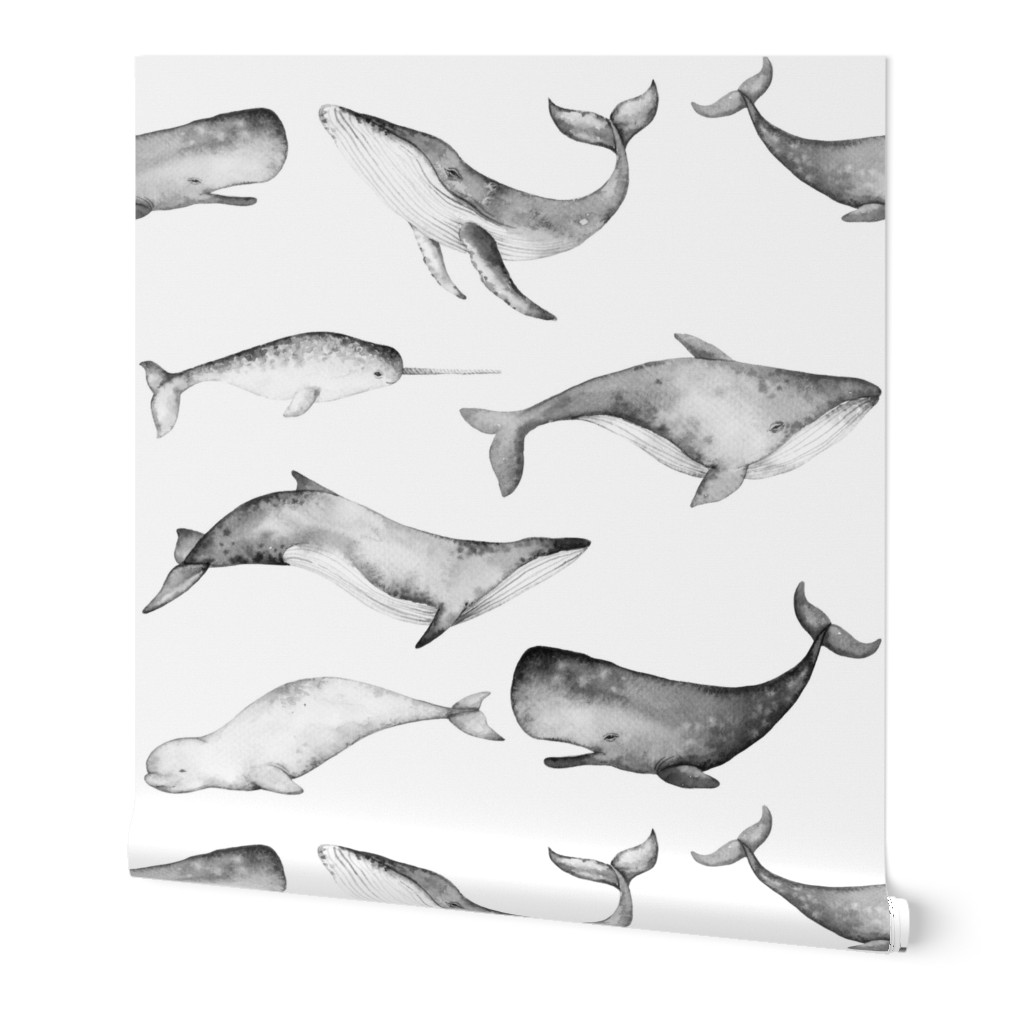 Black and White Watercolor Whales