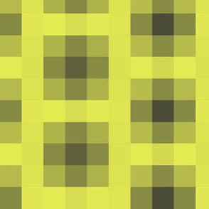 Wall Flower Plaid in Black and Yellow