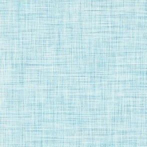 Sky Blue Linen