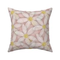 Pale Pink Daisy Flowers, Scattered Pretty Pastel Feminine Floral Petals, Romantic Sunny Yellow Flower Power