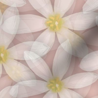 Pale Pink Daisy Flowers, Scattered Pretty Pastel Feminine Floral Petals, Romantic Sunny Yellow Flower Power