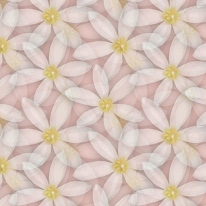 Pale Pink Daisy Flowers, Scattered Pretty Pastel Feminine Floral Petals, Romantic Sunny Yellow Flower Power