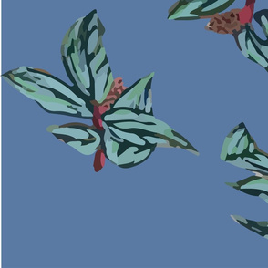 magnolia pattern