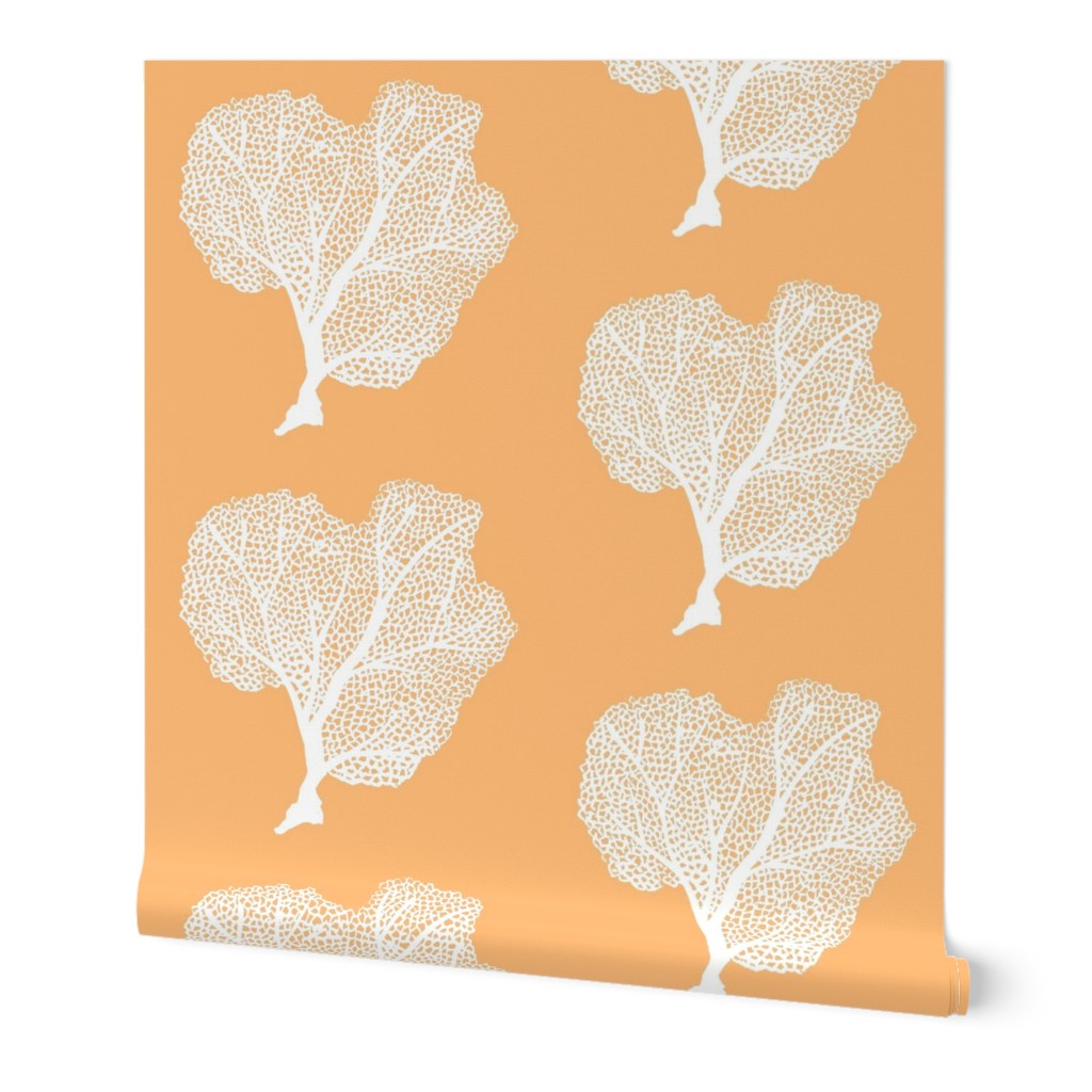 Peach Coral Sea Fan