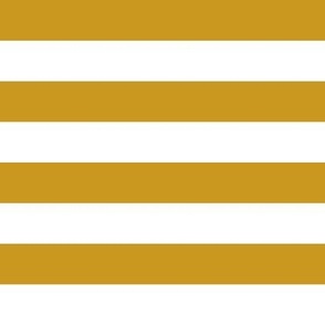 the new nautical - stripes - gold nugget