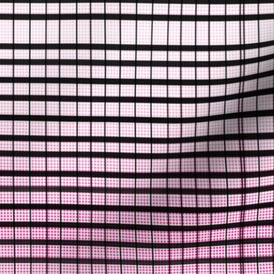Black Lines with Pink Tiny Spots
