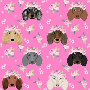 doxie flower crown fabric - dog, dachshund floral fabric, dog flower crown fabric dog floral crown - pink