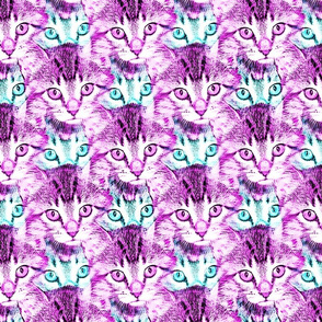 Trippy Kitty