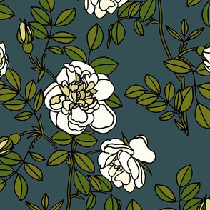 Climbing roses on navy