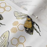 Bees on white