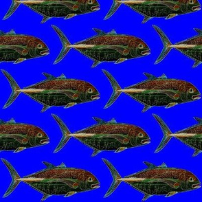 Bluefin Trevally Lines on ocean Blue
