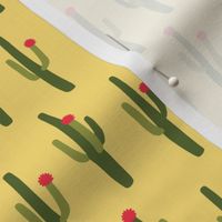 Saguaro Cactus coordinate