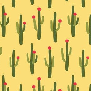 Saguaro Cactus coordinate