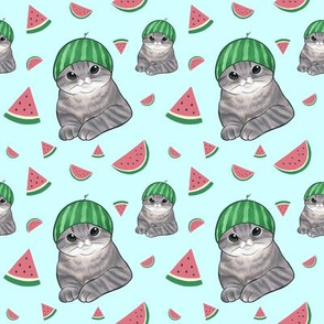 watermelon cats