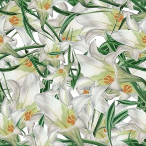 Debs Lily Collage