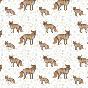 Auburn Foxes
