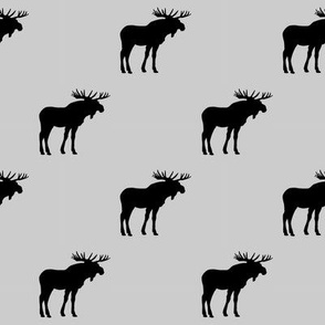 Many Moose - 2"